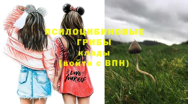 МДМА Верхний Тагил